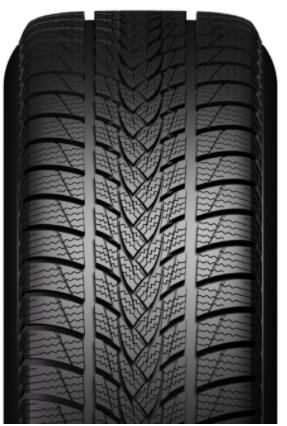 225/55R19 WI MINERVA FROSTRACK UHP 99V