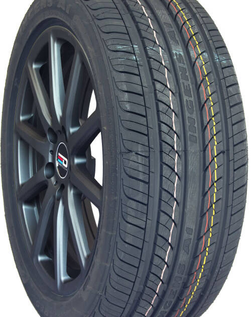 255/50R19 4S ANTARES INGENS A1 107V